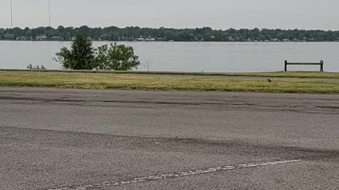 Niagara River on a quiet afternoon part 1