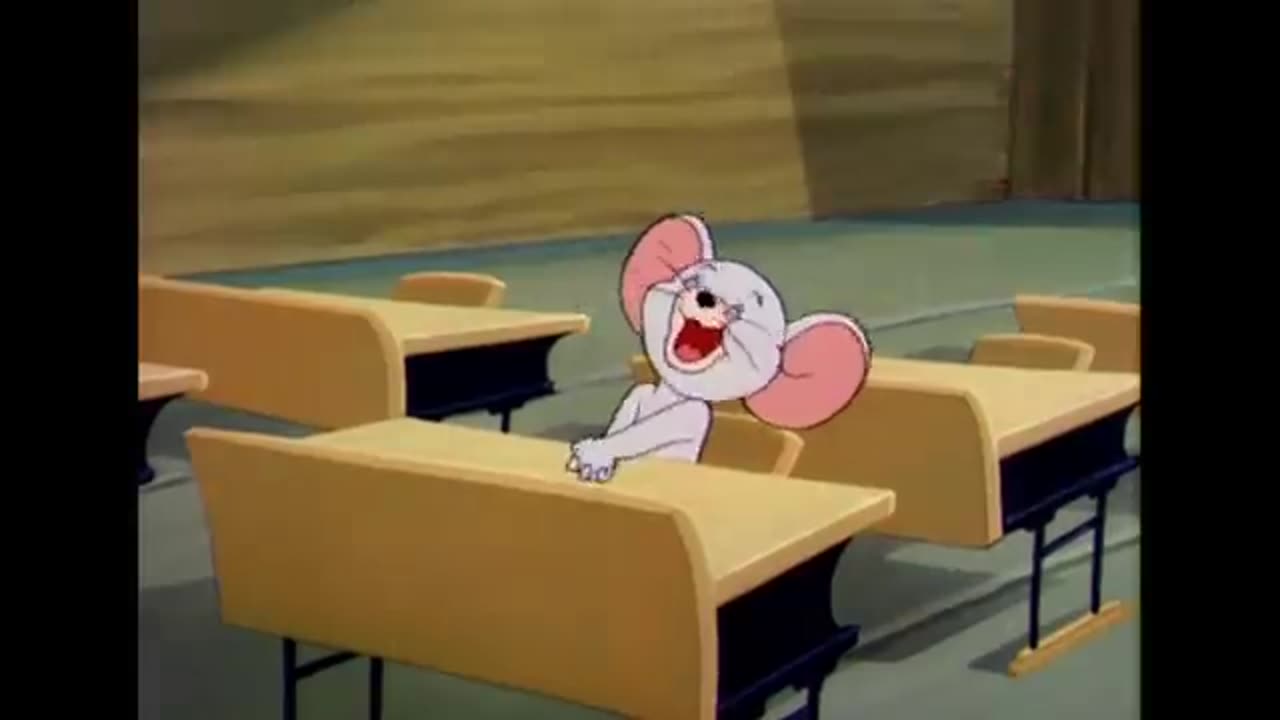 Tom and jerry cartoon new episode best moments
