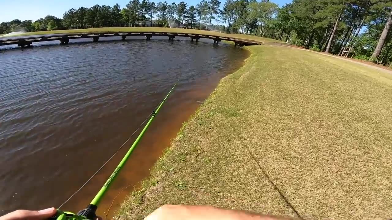 Fishing for GIANT Bass w/ Topwater in SMALL Ponds (LOADED)