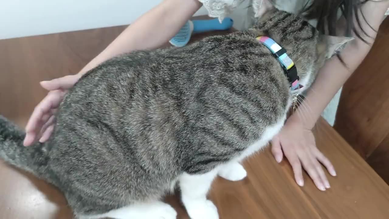 Don't Stop Scratching