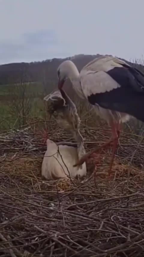 G'night frens... Follow by example... 🧐