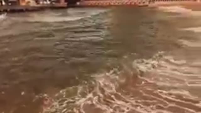 Enjoy from the Stanali Bridge, Alexandria, the bride of the Mediterranean