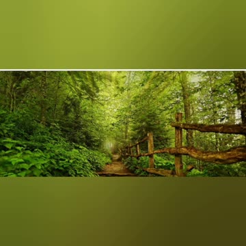 Nature beauty photography 🌿🌿