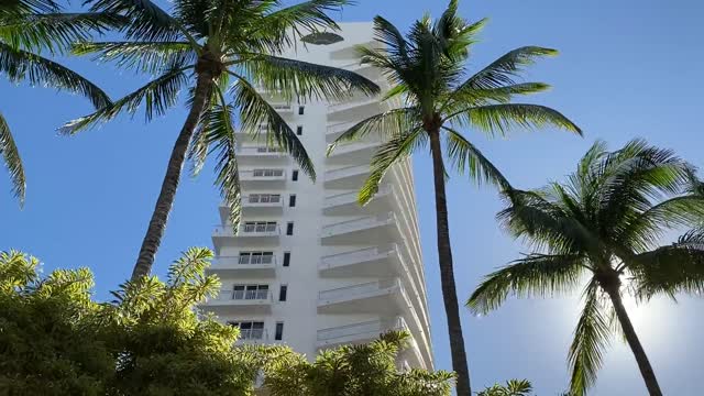 DAY IN MIAMI FLORIDA