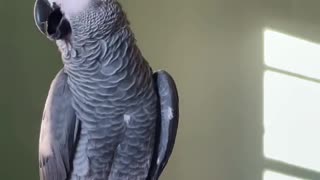 Suck part 2 😱 #suck #slurp #slurpingsound