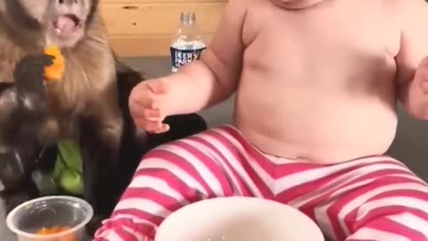 Cute Baby With Monkey fun