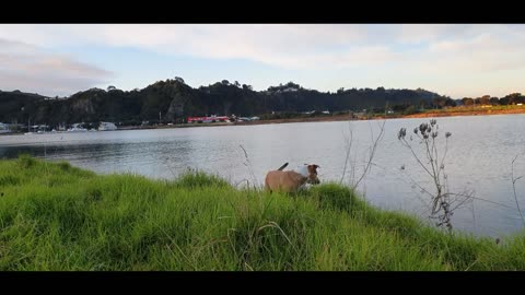 knoise, and jack. on the track by the rivers