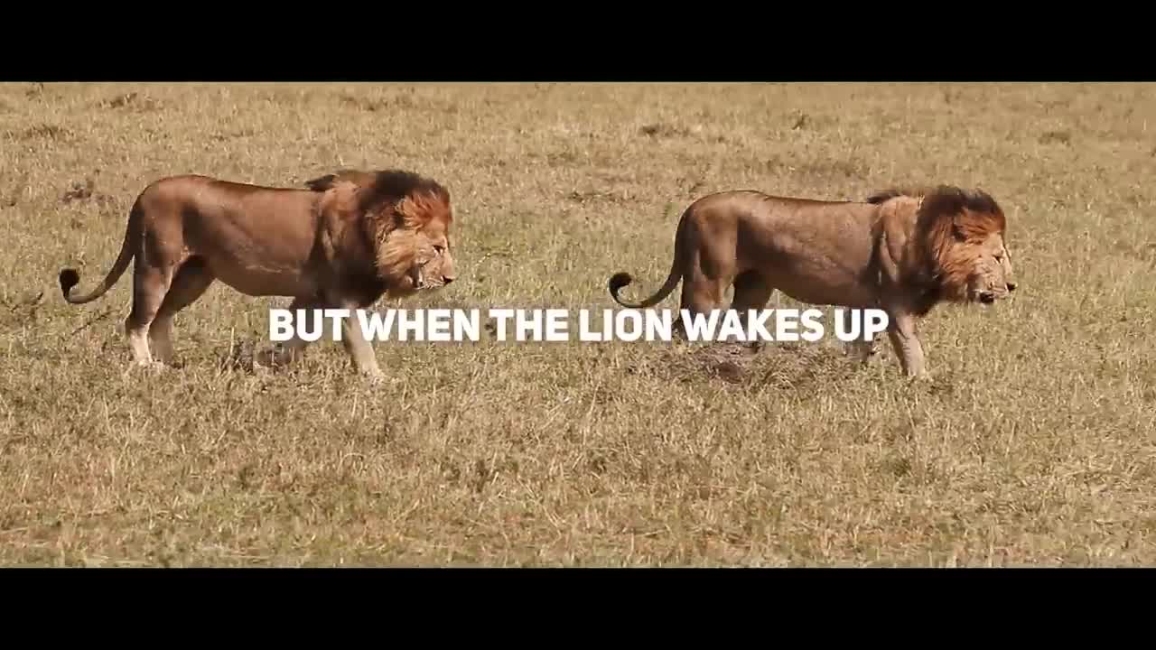 Lion Mentality | "WHAT IF?" Motivational Speech