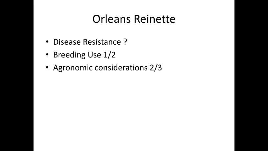 Crop Road Show 5: Orleans Reinette, Brownlees Russet, Golden Harvey and Margil