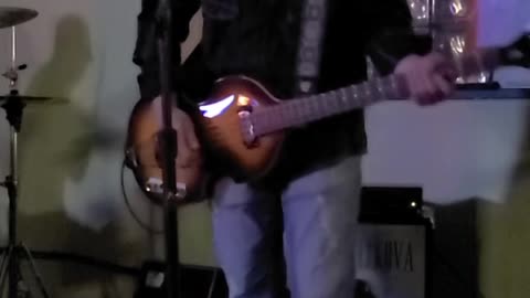 Tin Zelkova "Soul Shaker"