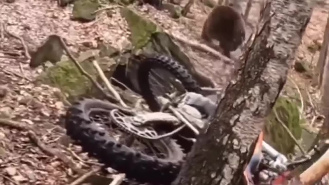 that's Close Call