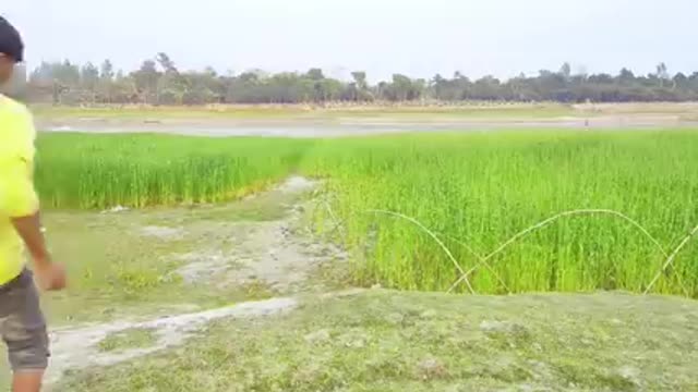 Whatsapp funny Videos_Verry Injection Comedy Video Stupid Boys_New Doctor Funny Video