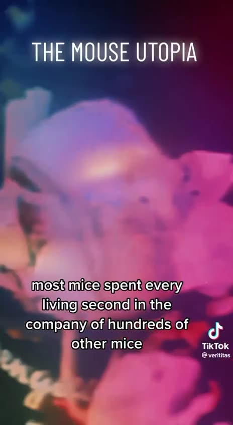 The Mouse Utopia