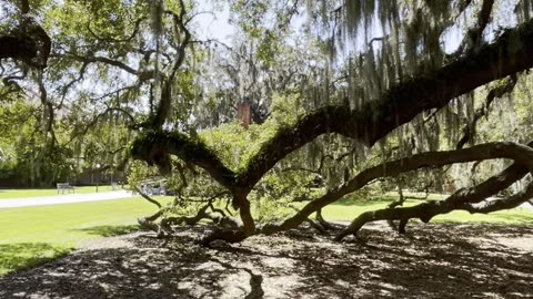 Historic Jekyll Island, Georgia