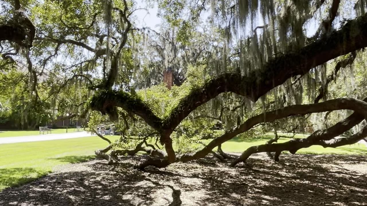 Historic Jekyll Island, Georgia