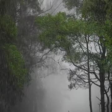 Rain Lovers Rejoice: Relaxing Rain Sounds and Beautiful Views