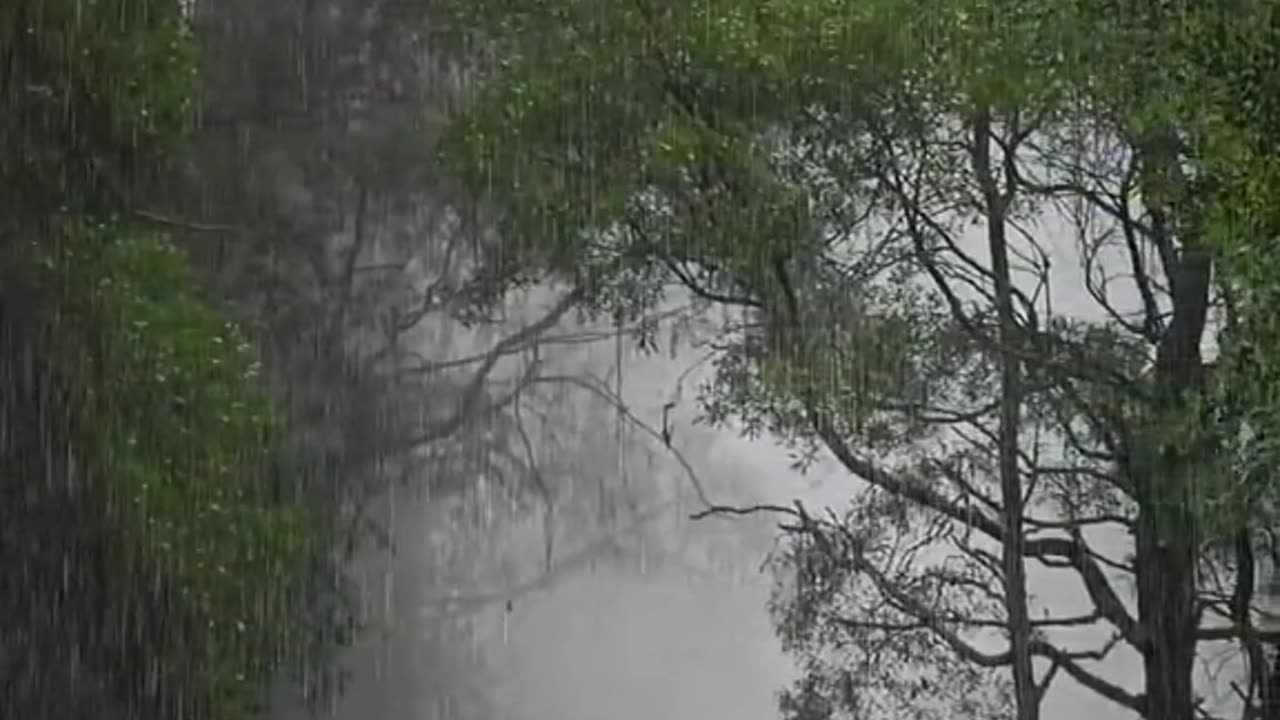 Rain Lovers Rejoice: Relaxing Rain Sounds and Beautiful Views