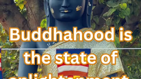 Buddhahood., Inspirational Quotes from Lord Gautam Buddha, Shorts