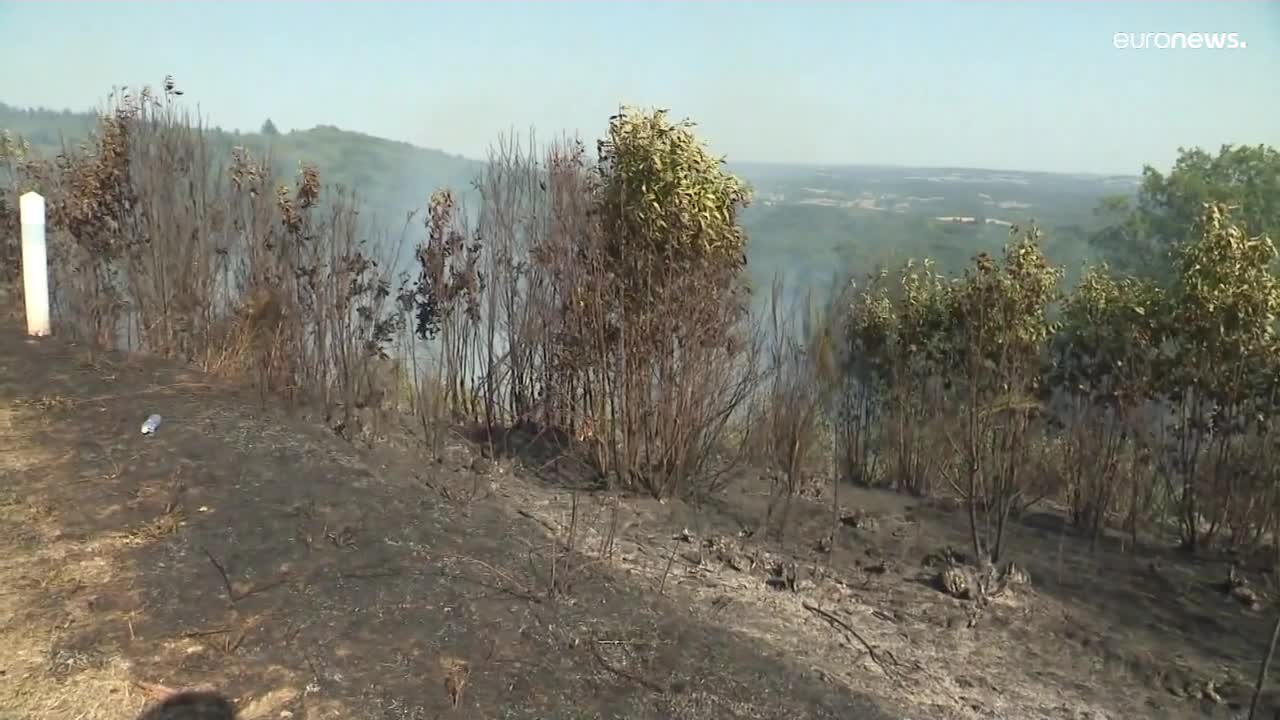 Quando i vigili del fuoco si trasformano in piromani