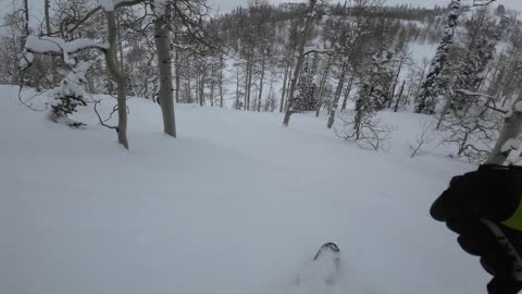 3/27 #8 the knob and flat light deep powder