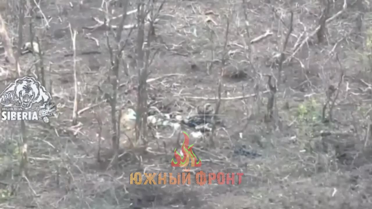 Kamikaze Drone Attacks AFU Personnel Near Belogorovka