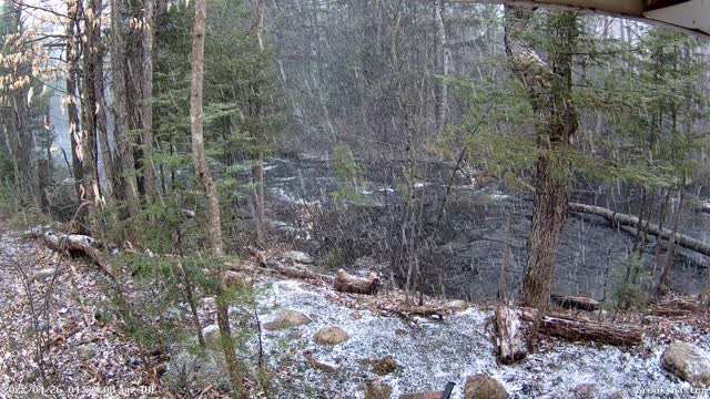 late April snow on the brook