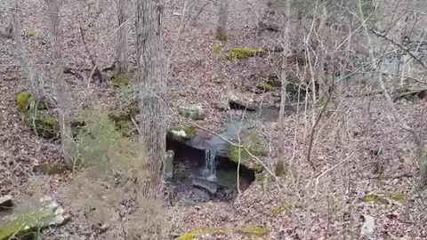 PCT Training Hike on the Big Piney Trail, Paddy Creek Wilderness, Missouri