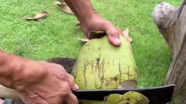 this is way to get coconut milk