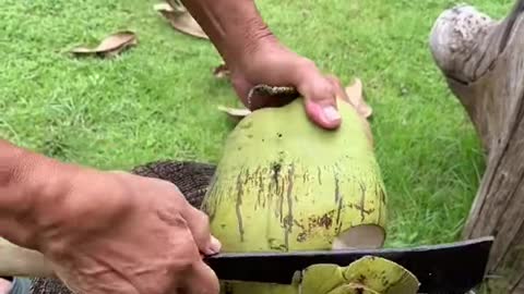 this is way to get coconut milk