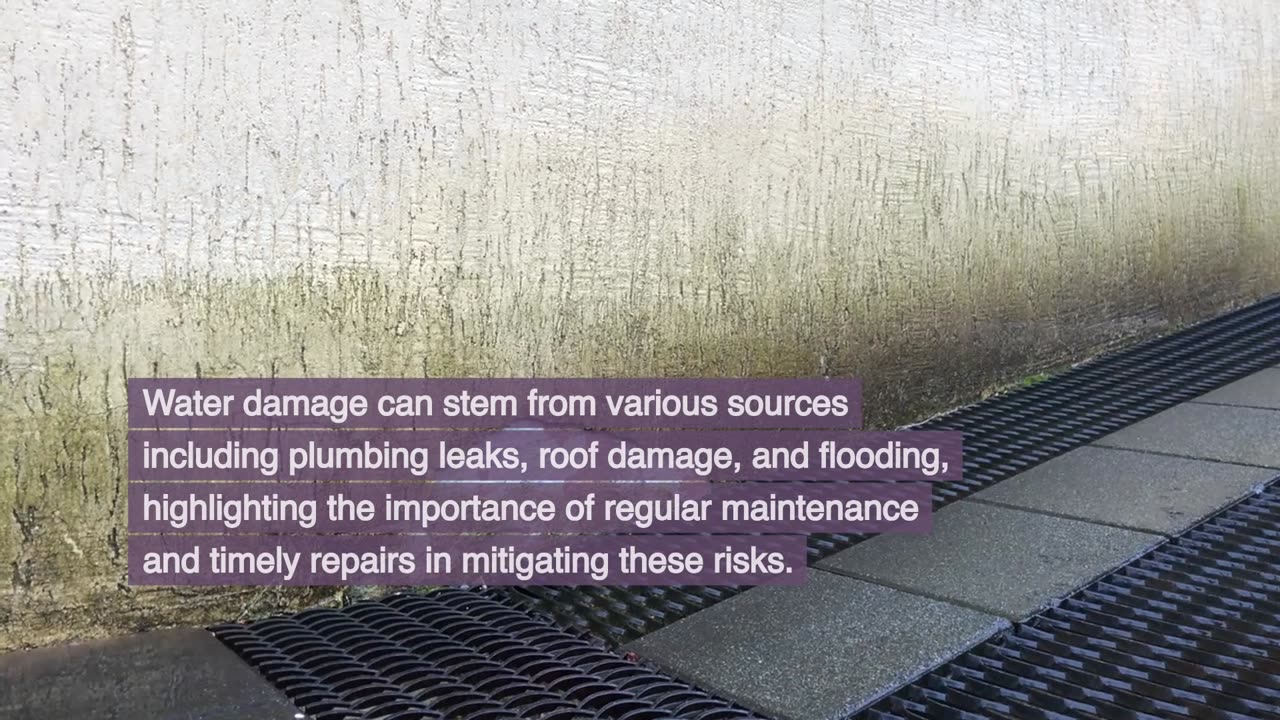 Can Water Damage Cause Mold?