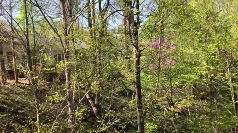 May 1, 2020 - A Perfect Morning to Start a New Month