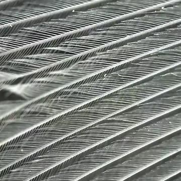 This iPhone accessory is WILD!