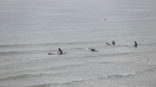 The Sea and the Surfer