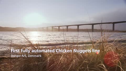 First fully automated chicken nuggets line installed at Danpo