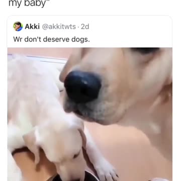 its over for you and these games calm down