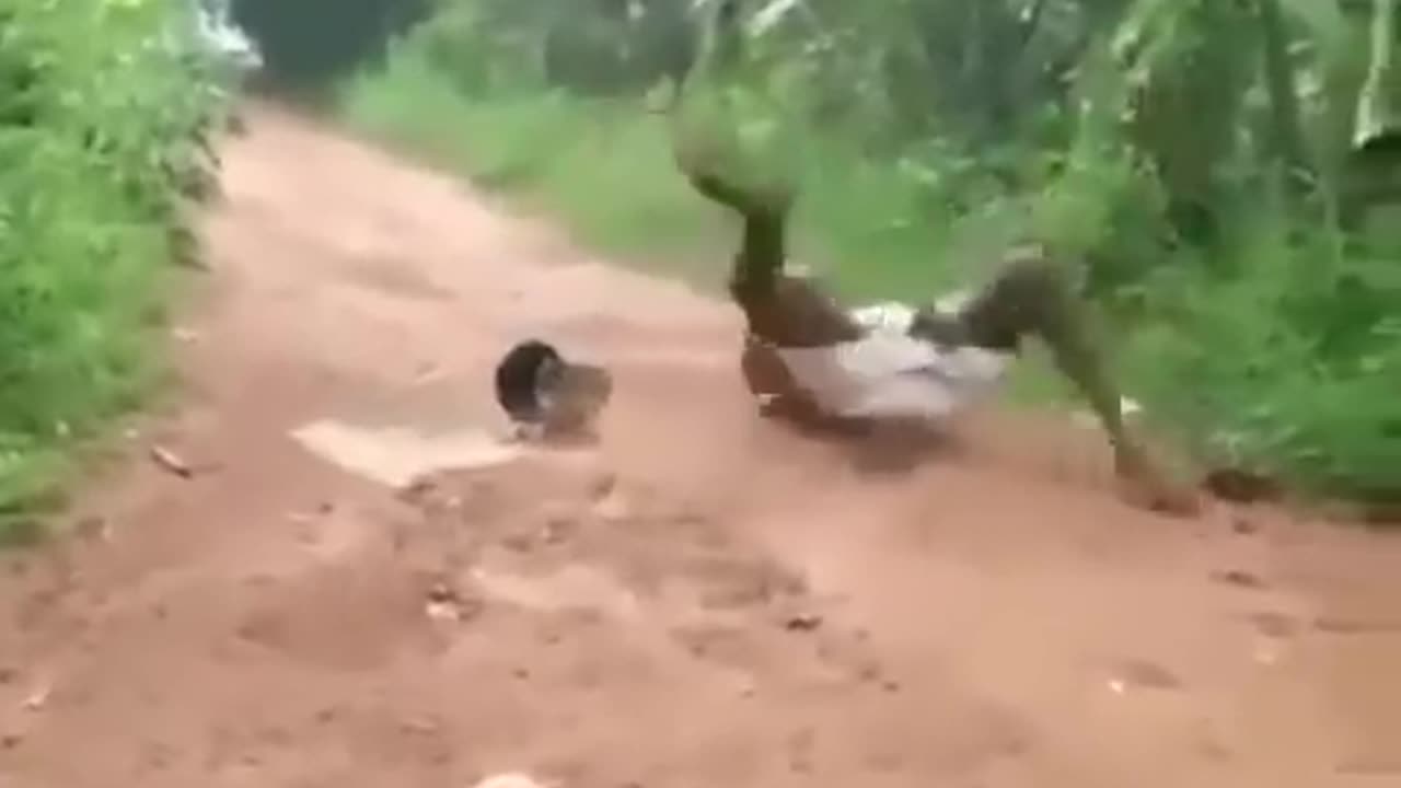 Funny scene 🤣🤣