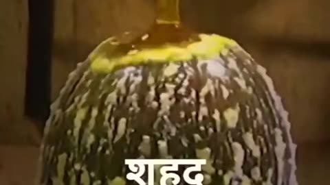 Har har Mahadev