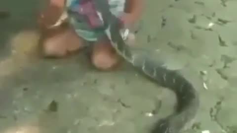 Child Playing with Snake 🐍
