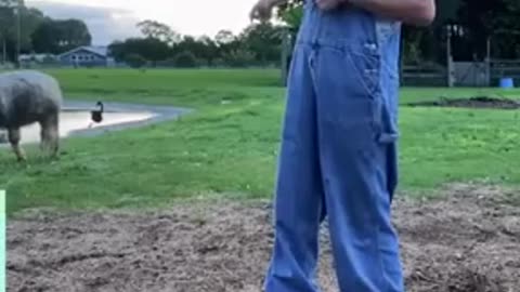 EMMANUEL THE EMU