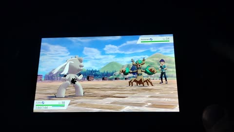 Pokemon Sword:An Unbearable Rival Battle