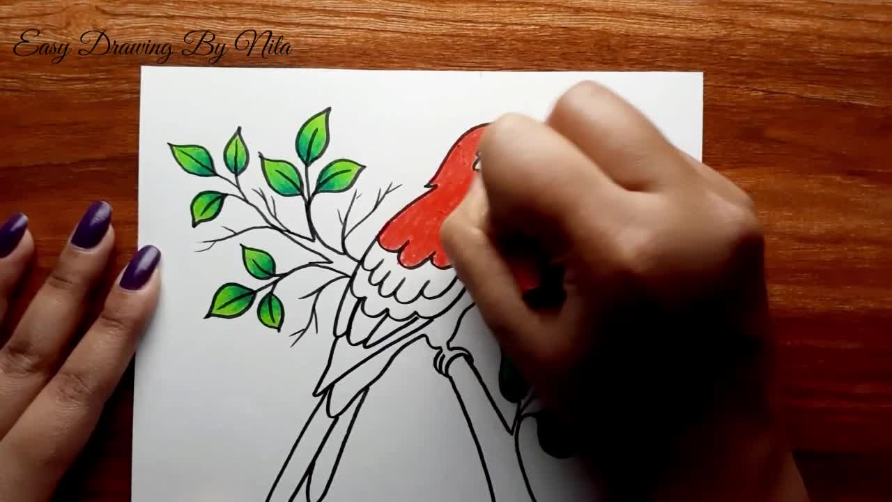 Parrot Drawing Step by Step -- How to Draw Parrot -- Parrot Drawing Colour