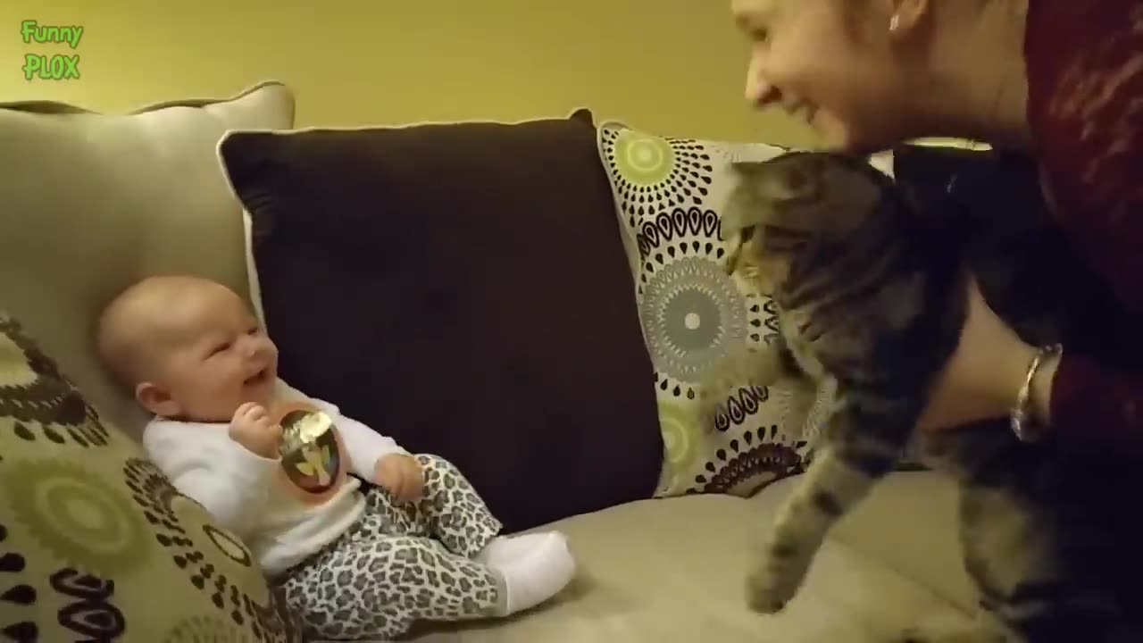 Funny Babies Laughing Hysterically at Cats Compilation