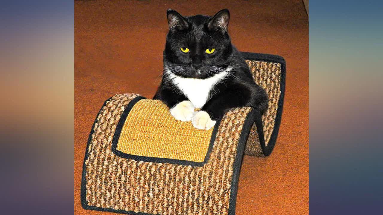 North American Pet Cat Condos, Cat Scratchers, and Cat Trees review