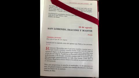 CDV Rev. Carlos Massieu | Homilía, San Lorenzo, diácono y mártir.