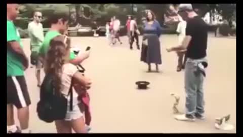 Funny show