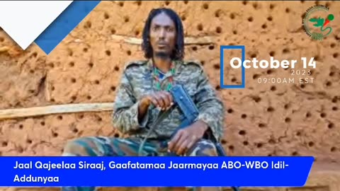Waamicha Tumsa WBO Onkoloolessa 14, 2023 akka guutuu addunyaatti taasifamu irraa hin hafinaa !