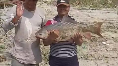 See what fortune is called. Crazy Monster Rui of Padma River