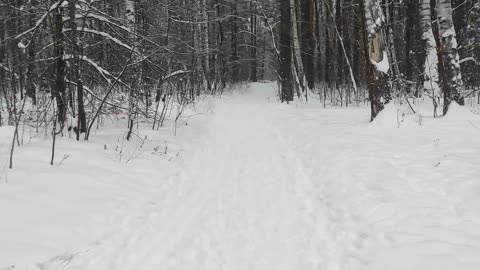 My beautiful winter 4