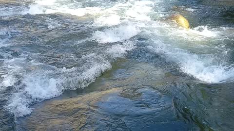 Rapids on the Kettle