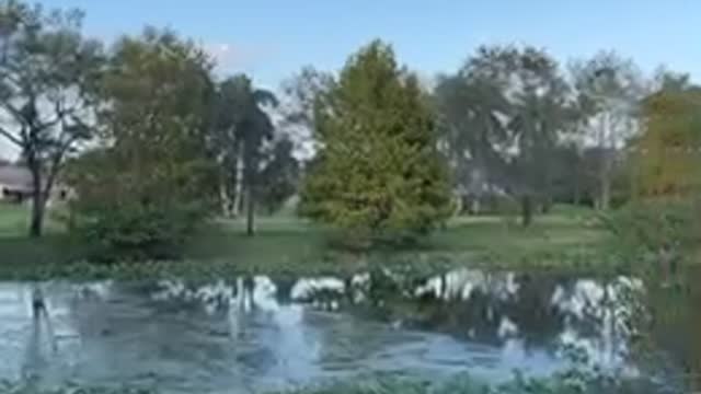 Scenic view
